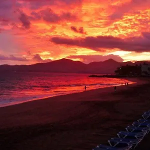 https://apartamento-veni.puertodelcarmen-hotels.org